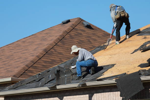 Best Roof Moss and Algae Removal  in Burns, OR